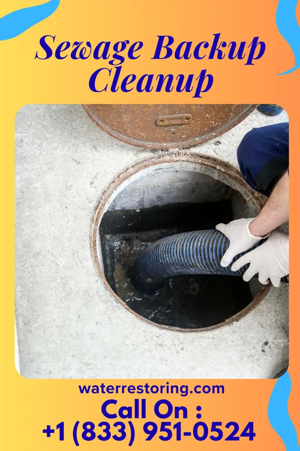 Sewage Backup Cleanup in Monett, MO