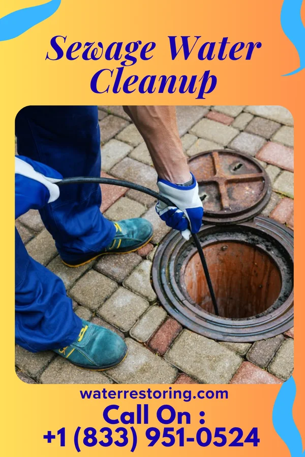 Sewage Water Cleanup in Monett, MO
